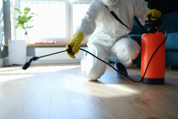 Reliable Unattended Death Cleanup contractor in Glennville, CA by Trauma Clean Pros